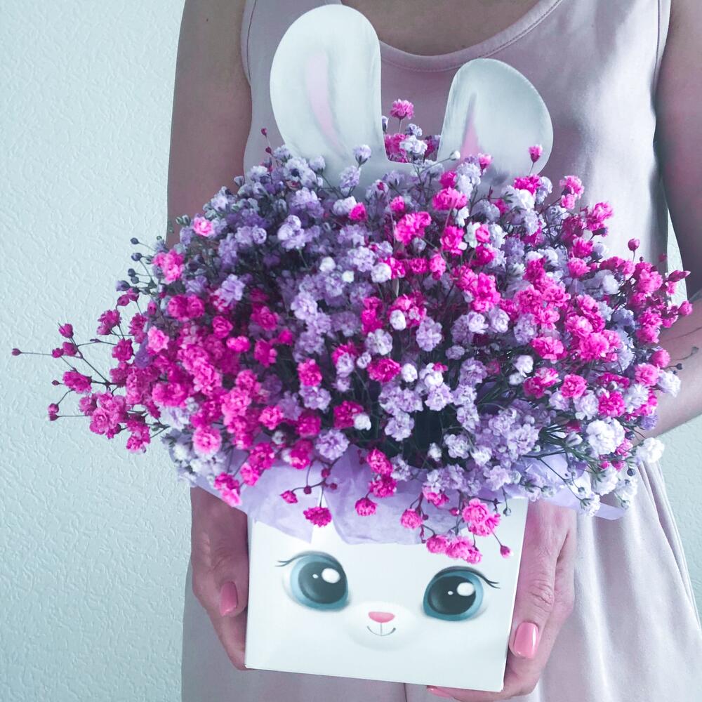 Гипсофила, Зайка моя