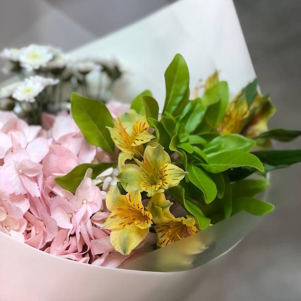 Привет от лета с гортензией Привет от лета с гортензией