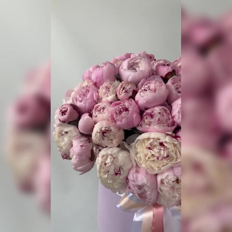 Розовые ароматные пионы Сара Бернар в коробке, 65 штук