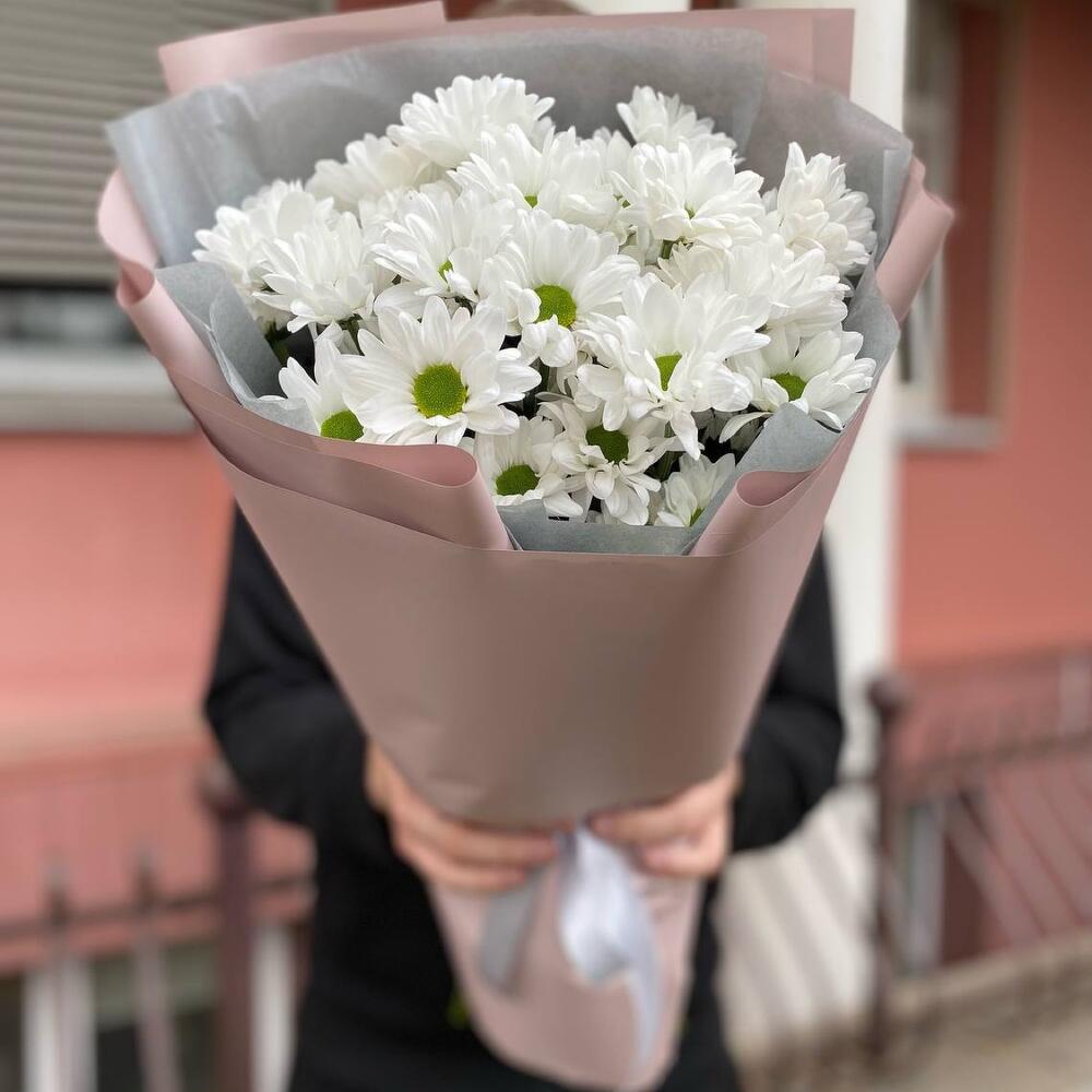 ≈ 51 белая ромашка - 5 веток белой ромашковой хризантемы