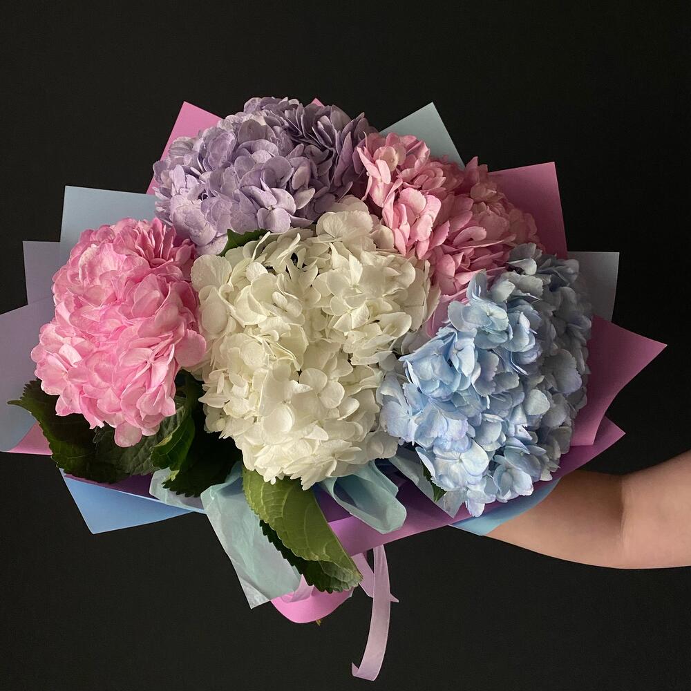 Радуга из гортензий